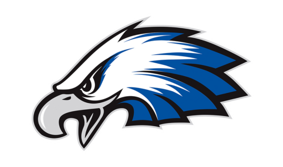 Blue, white, and gray stylized Eagle head