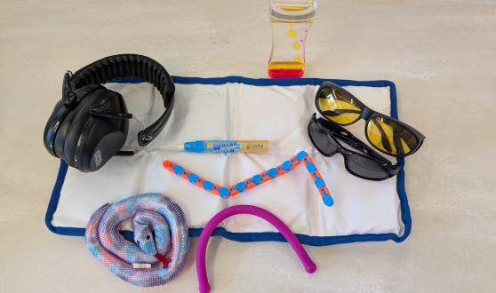 Photo of various items included in a sensory kit such as a weighted lap blanket, noise canceling headphones, sunglasses, and fidget toys